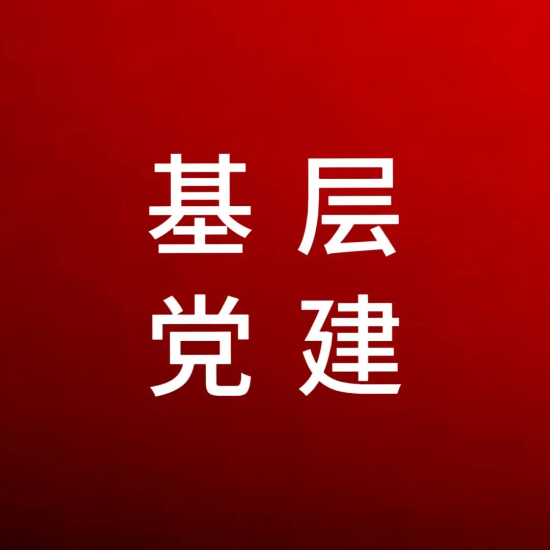 “一月一課一片一實(shí)踐” 助推支部工作提質(zhì)增效